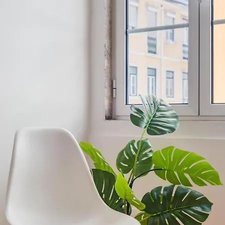 Lx Urban Living Apartment